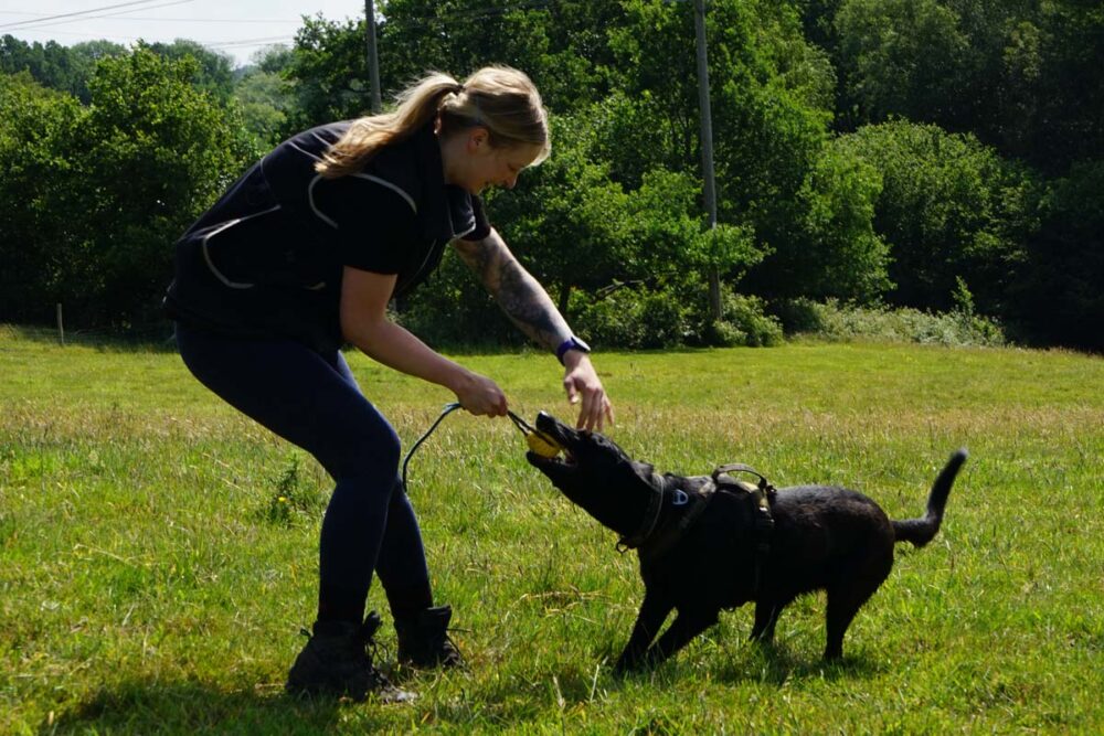 Photograph of Lisa from Nimbus Dogs for an article about When to Call A Dog Trainer
