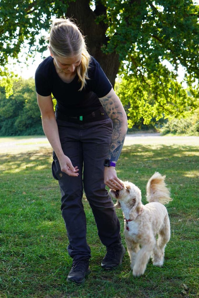 Photograph of Lisa of Nimbus Dogs training with a Cockapoo