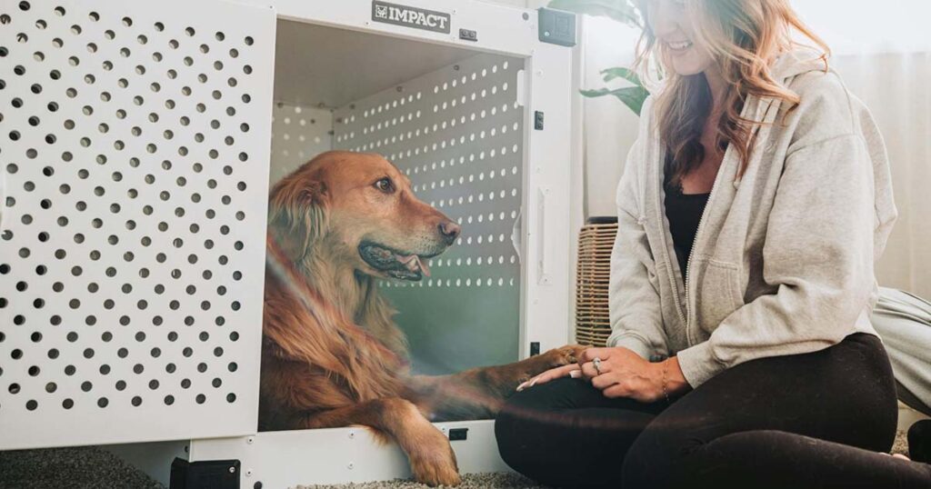 Photograph of an owner crate training their dog. The dog is happy and relaxed.