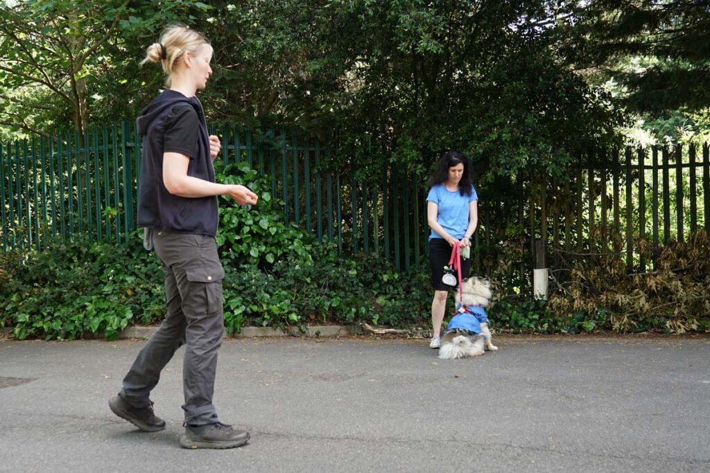 Photograph of Lisa Littlejohn of Nimbus Dogs training with Cheeno in a 1-2-1 Dog Training Session in Ewell