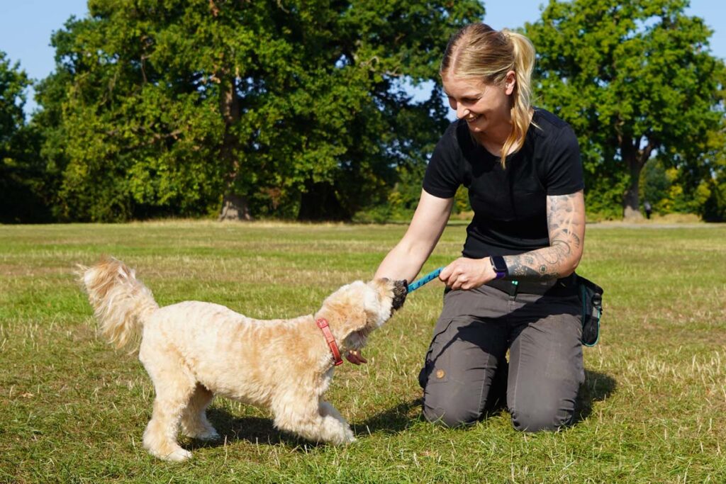 Photograph of Lisa from Nimbus Dogs with ????