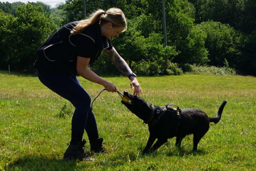 Photograph of Lisa with Magik, a Dutch Shepherd dog