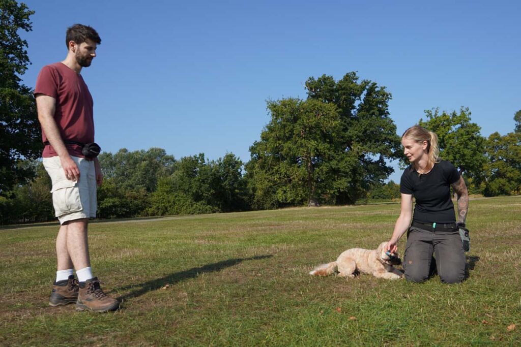 Photograph of Lisa training with a Ella, Cockapoo dog and puppy training with her owner