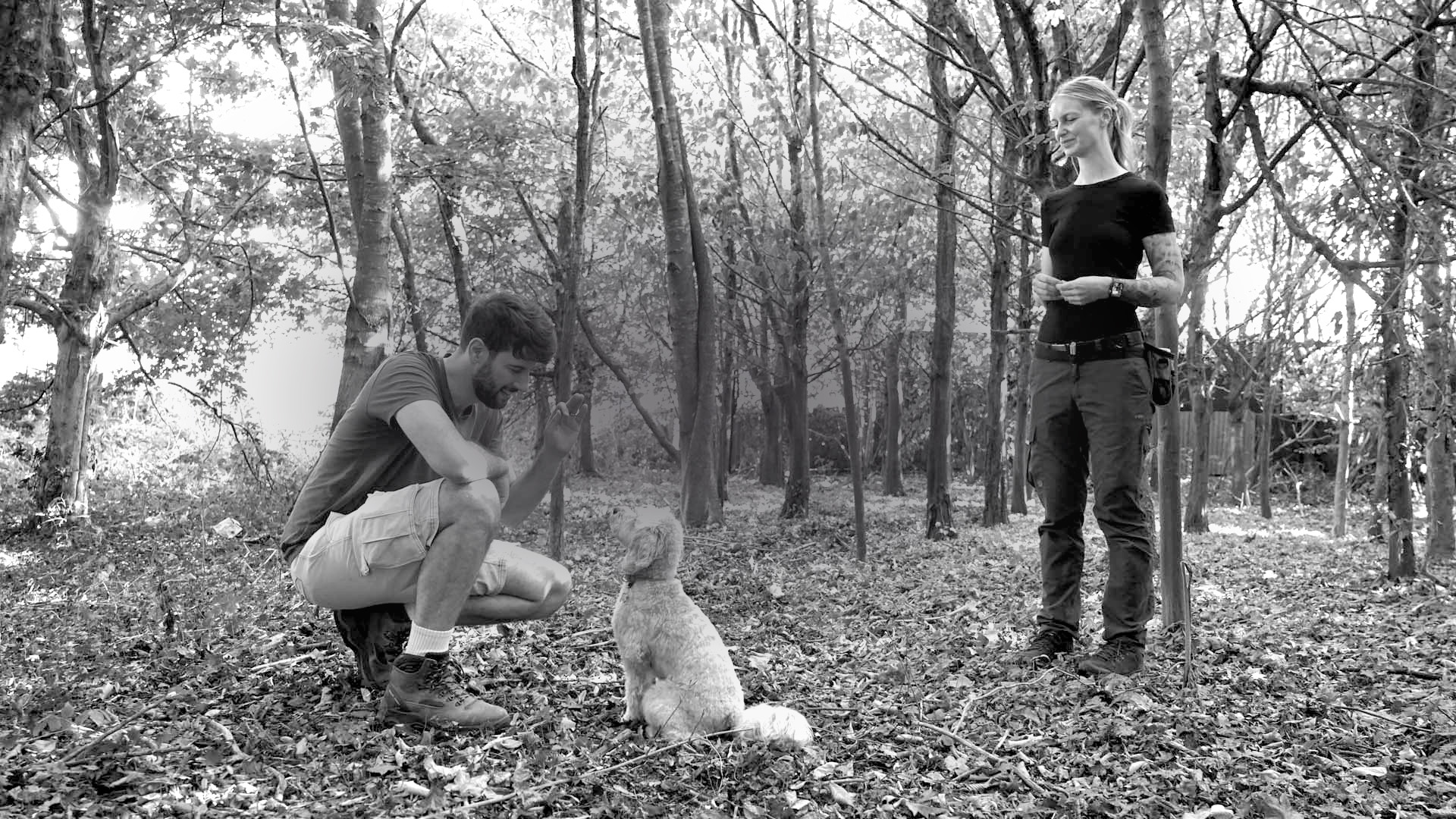 Photograph of Lisa from Nimbus Dogs working with a Cockapoo called Ella