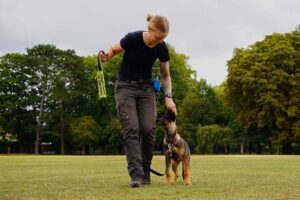 Photo of Lisa of Nimbus Dogs training Leia, a Surrey Police Dog - Puppy Training Class