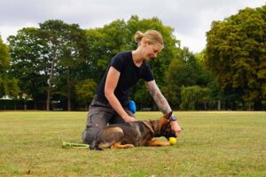Photo of Lisa of Nimbus Dogs training Leia, a Surrey Police Dog - Puppy Training Class