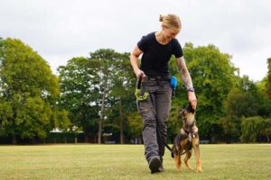 Photo of Lisa of Nimbus Dogs training Leia, a Surrey Police Dog - Puppy Training Class