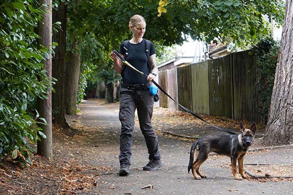 Photograph of Lisa from Nimbus Dogs puppy class training with Leia a police puppy