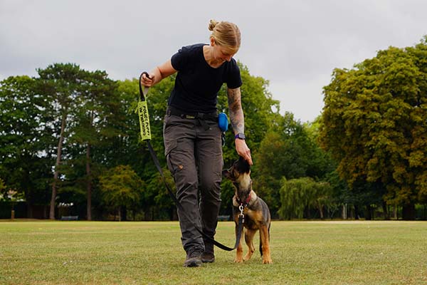 Photo of Lisa of Nimbus Dogs teaching a young German Shepherd in puppy class