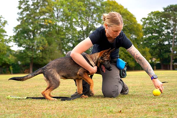 Photograph of Lisa from Nimbus Dogs puppy class training police puppy German Shepherd