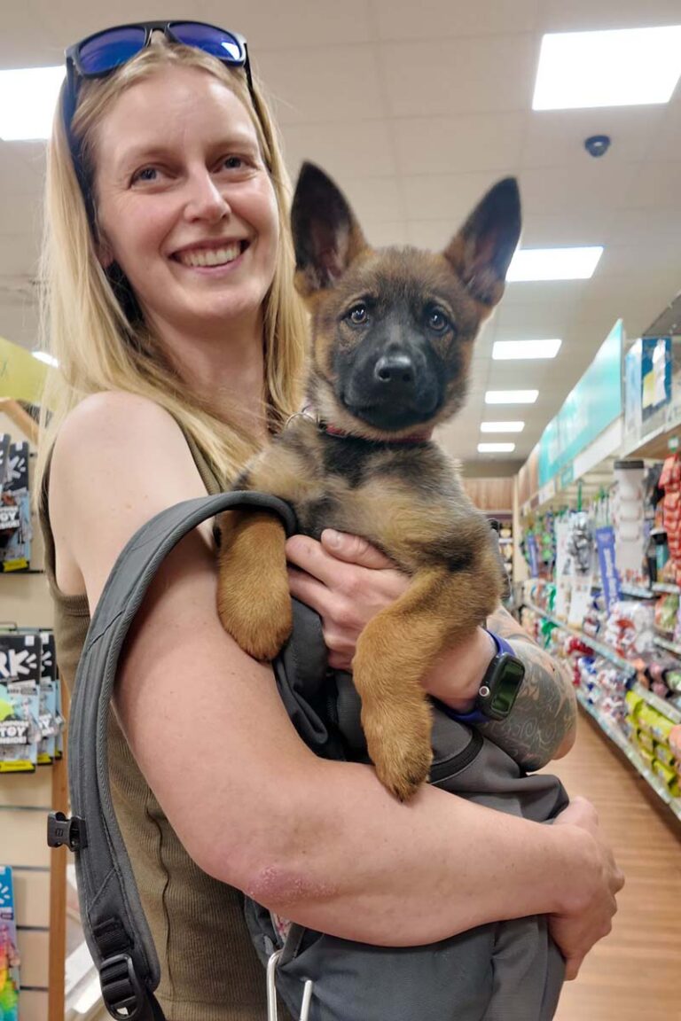 Photograph of Lisa from Nimbus Dogs puppy socialisation with Leia a German Shepherd police dog puppy