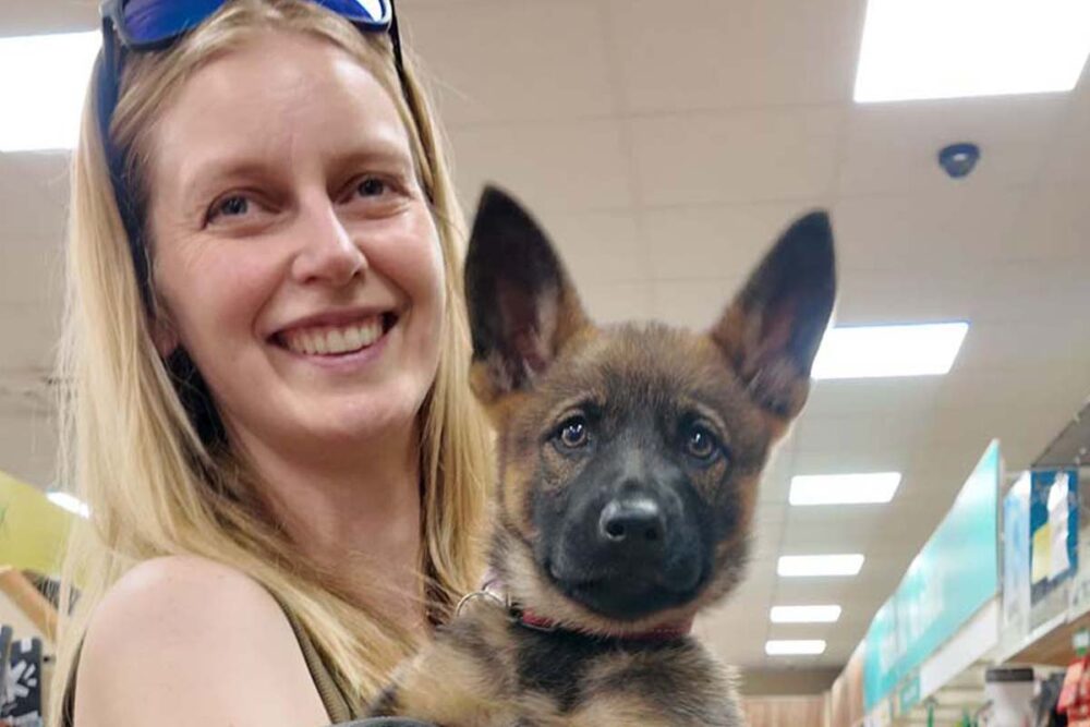 Photograph of Lisa from Nimbus Dogs socialising Leia a German Shepherd Police dog in training