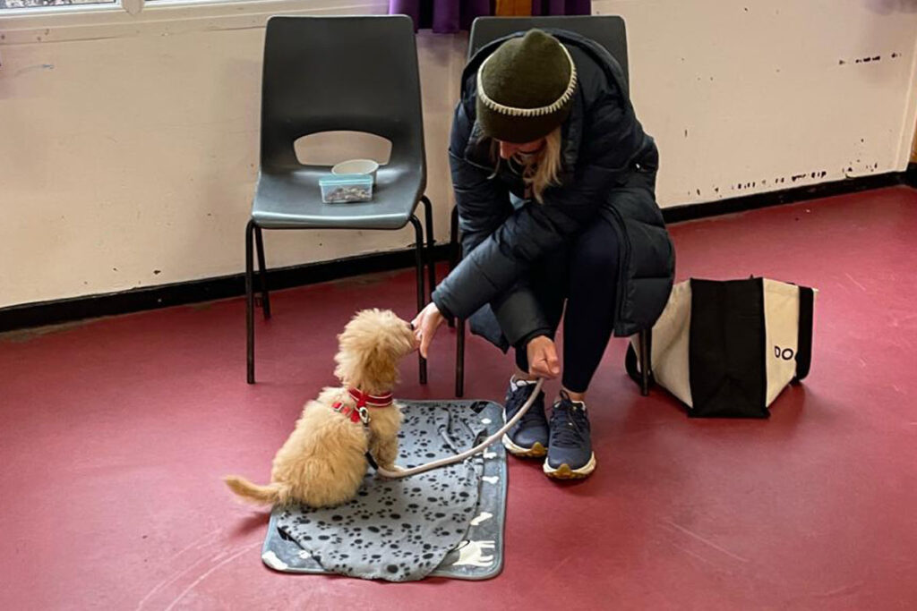 Training your puppy with Nimbus Dogs. A photograph of one of our clients at puppy class