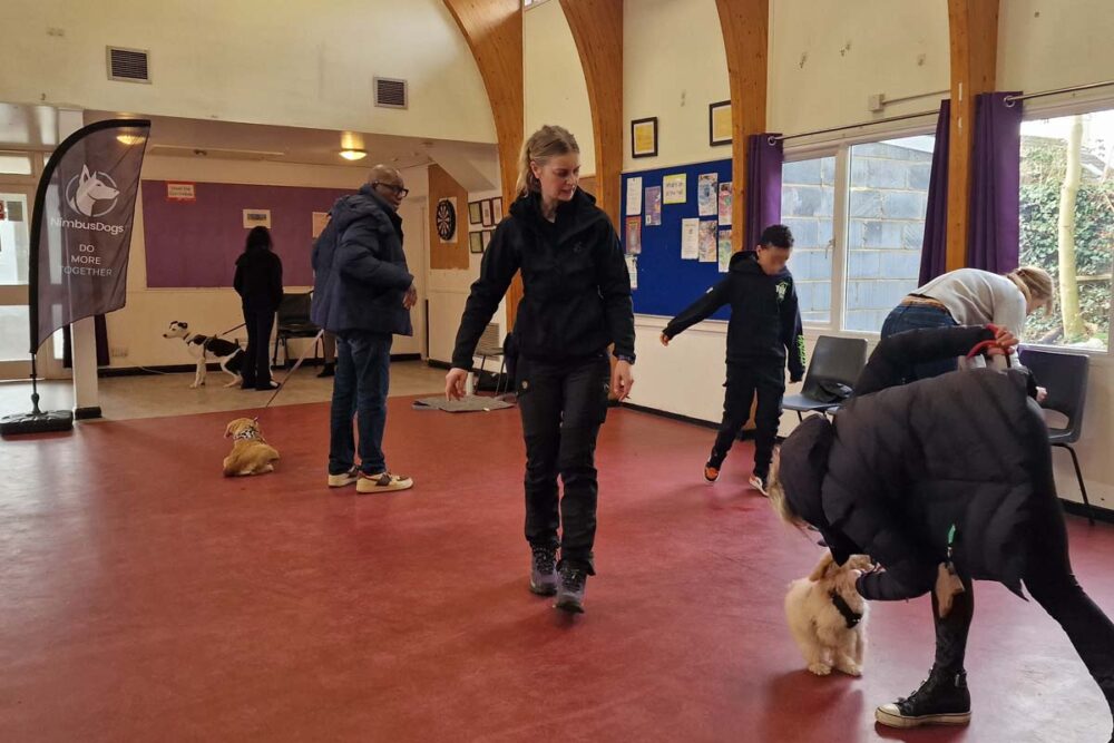Photograph of Lisa from Nimbus Dogs showing the benefits of puppy training to a class of new puppy owners and their pups.