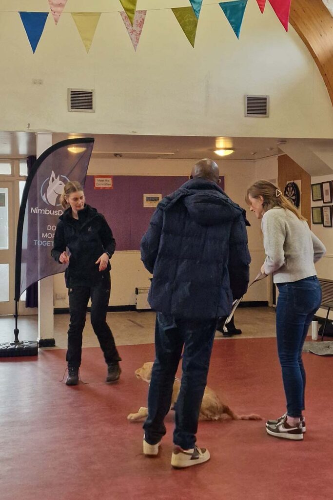Photograph of a puppy training class in Epsom led by Lisa of Nimbus Dogs
