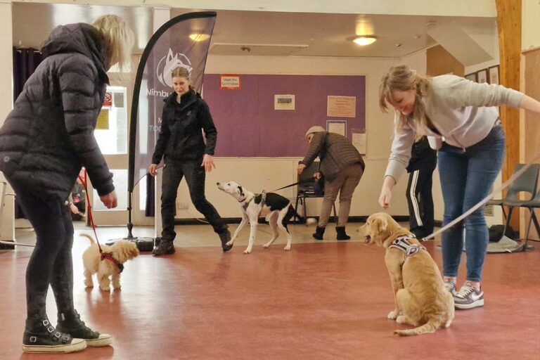 Photograph of Lisa from Nimbus Dogs showing the benefits of puppy training during a recent puppy class.