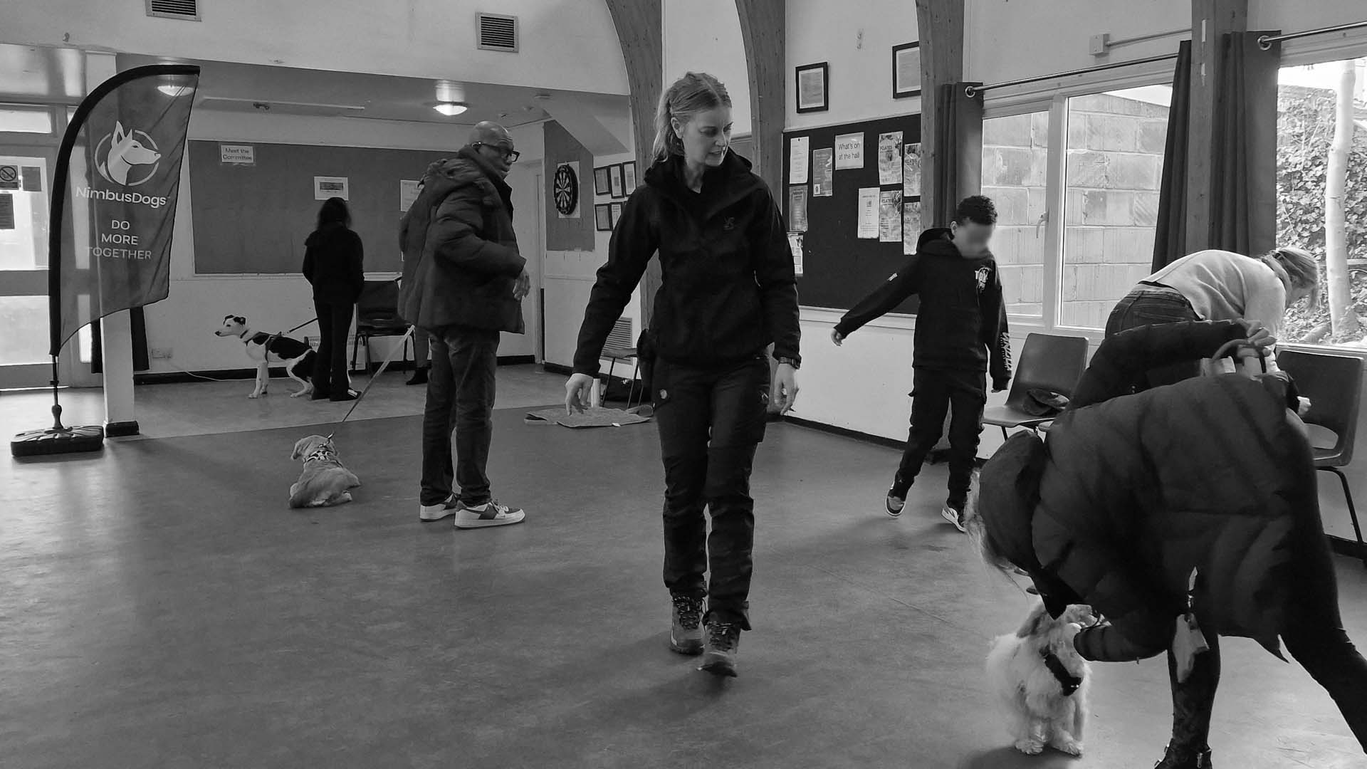 Photograph of a dog training class being taught by Lisa of Nimbus Dogs in Epsom