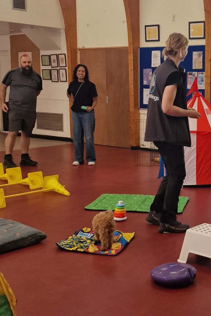 Photograph of Dog Trainers Lisa and Neal of Nimbus Dogs teaching how to socialise your puppy. during a puppy hour class in Langley Vale, Epsom.