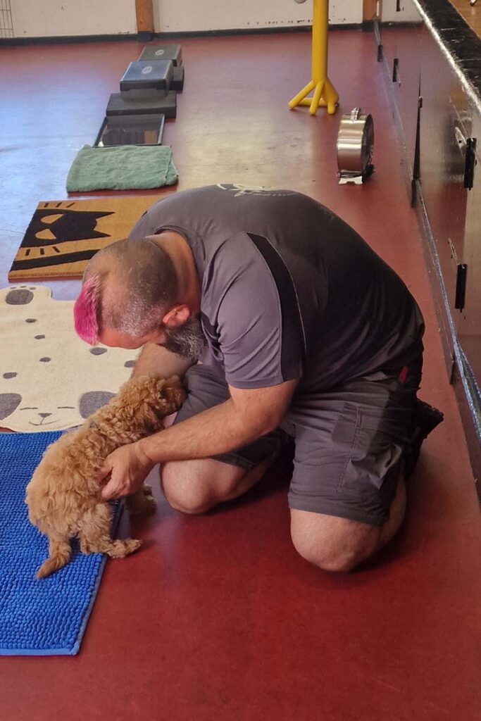 Neal from Nimbus Dogs helping young Cockapoo puppy Rudy during puppy socialisation class in Epsom.