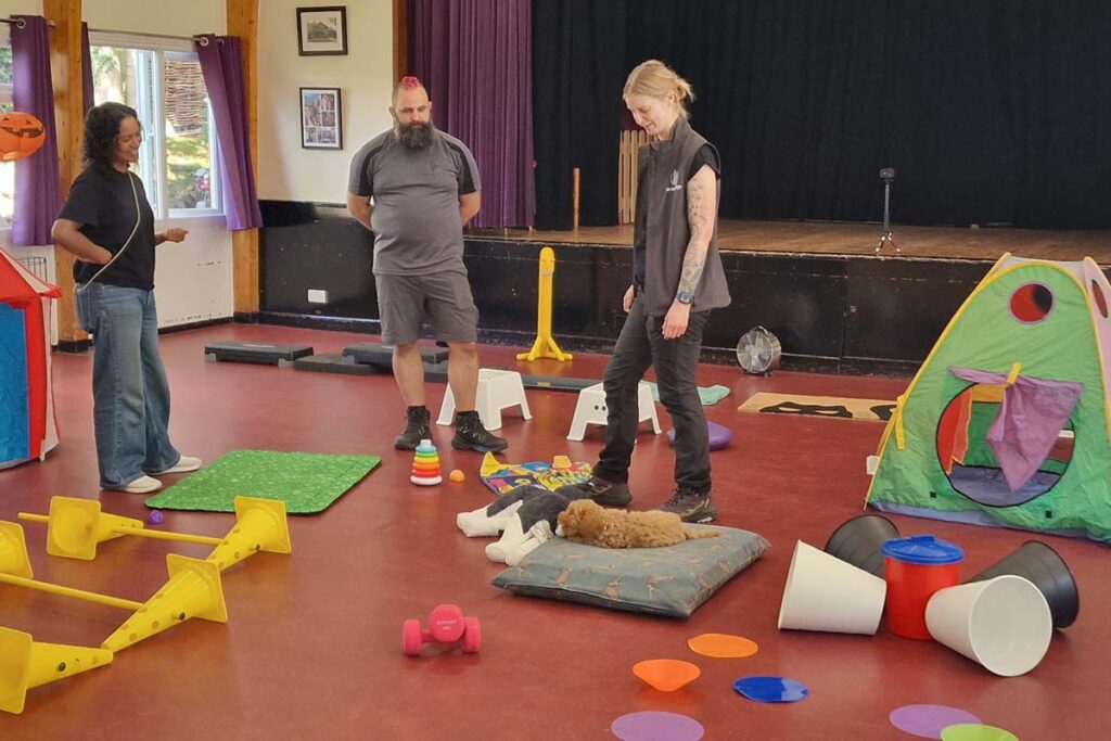 Photograph of puppy socialisation class in Epsom led by Lisa of Nimbus Dogs