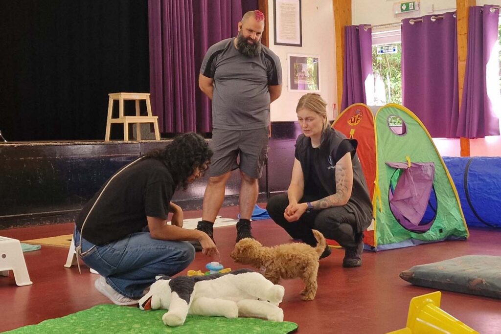 Photograph taken at puppy socialisation class in Epsom. The dog trainers from Nimbus Dogs teaching a new puppy owner about new experiencs.