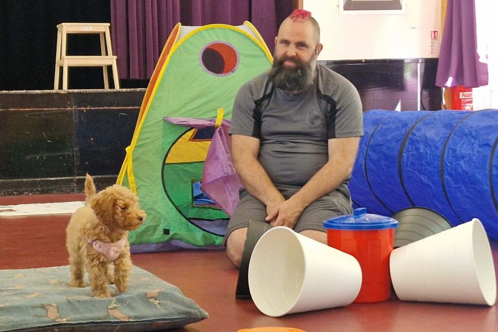 Neal from Nimbus dogs helping a young puppy get used to a range of new experiences during a Puppy Hour session in Langley Vale, Epsom.